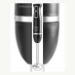 Mixeur Plongeant Lexical LHB-1602 - 250 Watts - noir