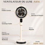 Ventilateur brumisateur marque ABM-1602 – 10 Pouces avec Télécommande