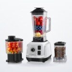 Blender professionnel marque lexical LBL-1575-1